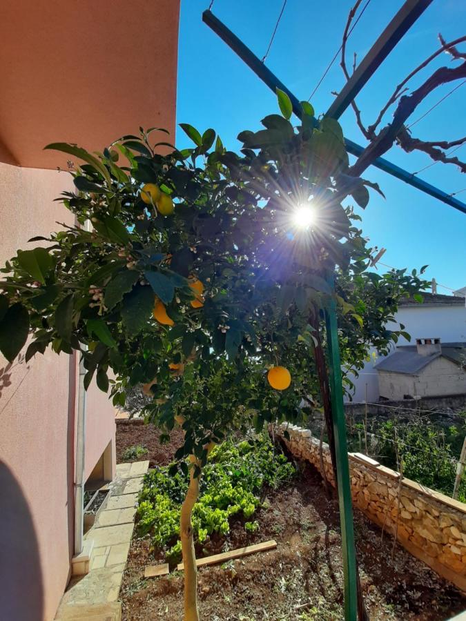 Apartments Ljulj Trogir Eksteriør bilde